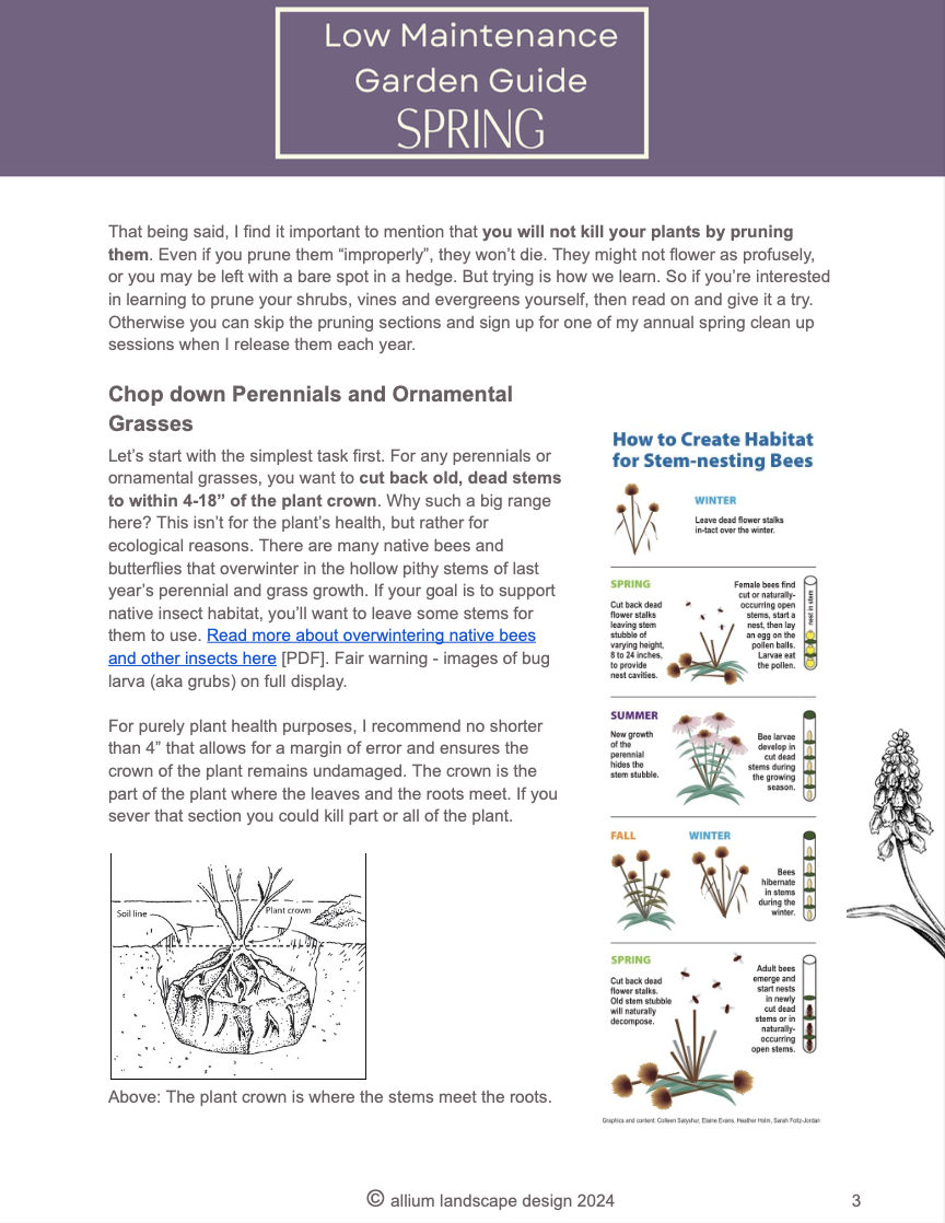 eBook: Spring Maintenance Guide